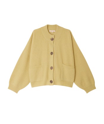 CARDIGAN ROY ACACIA votre