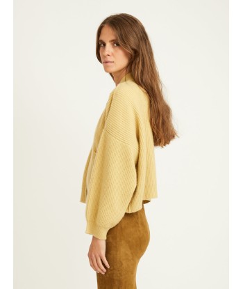 CARDIGAN ROY ACACIA votre