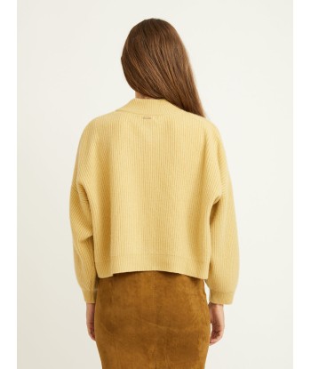 CARDIGAN ROY ACACIA votre