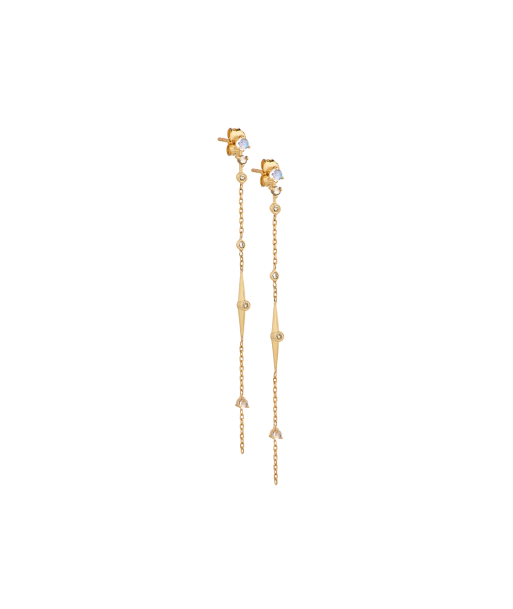 LONG HANG DIAMOND EARRINGS Par le système avancé 