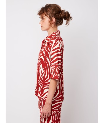 LAUREN ZEBRA BLOUSE chez Cornerstreet bien 