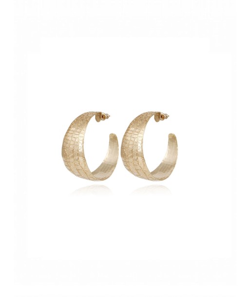 WILD HOOP EARRINGS GOLD france