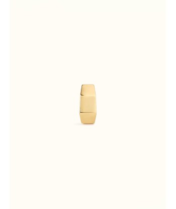 SMALL YELLOW GOLD NUT EARRING l'évolution des habitudes 