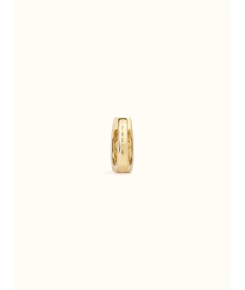 SMALL YELLOW GOLD NUT EARRING l'évolution des habitudes 