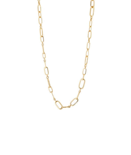 YELLOW GOLD LINK CHAIN Le MVP de beaucoup