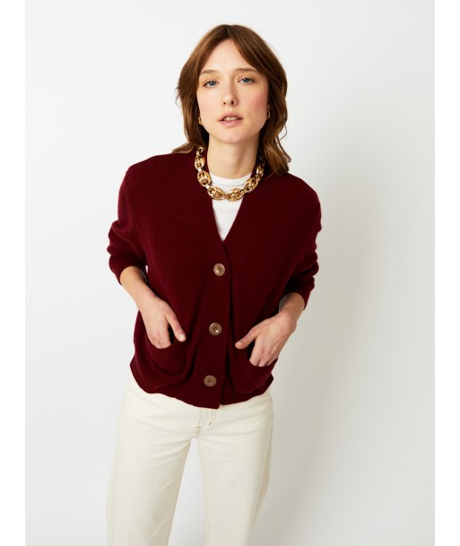 CARDIGAN LOU VELOURS paiement sécurisé