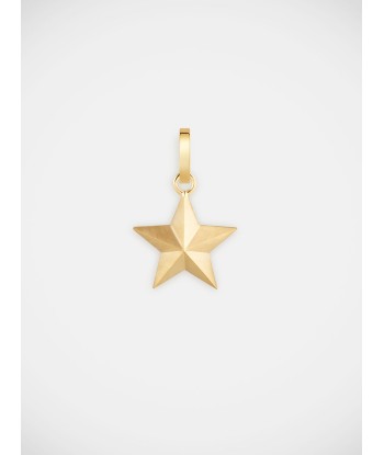 SMALL STAR CHARM Véritable concentré