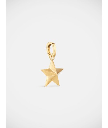 SMALL STAR CHARM Véritable concentré